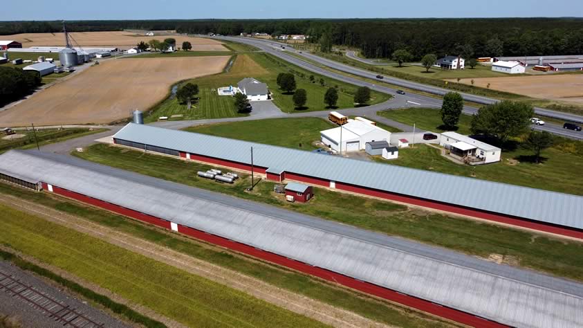 Chicken Houses