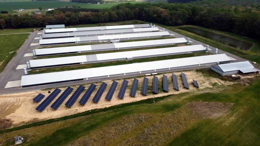 Chicken Houses