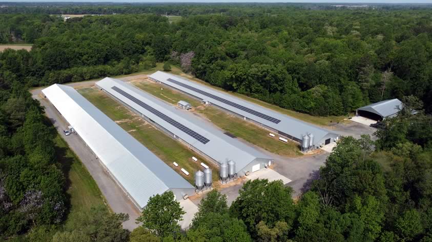 Chicken Houses