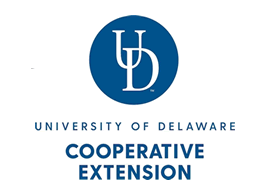 University of Delaware