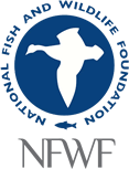 NFWL